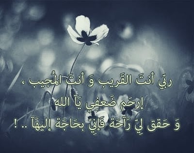 خلفيات ضيق من الدنيا 2