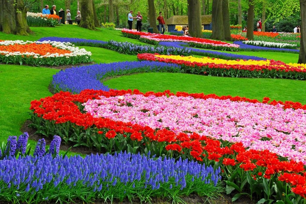 رمزيـات طبيعة خلابة 2