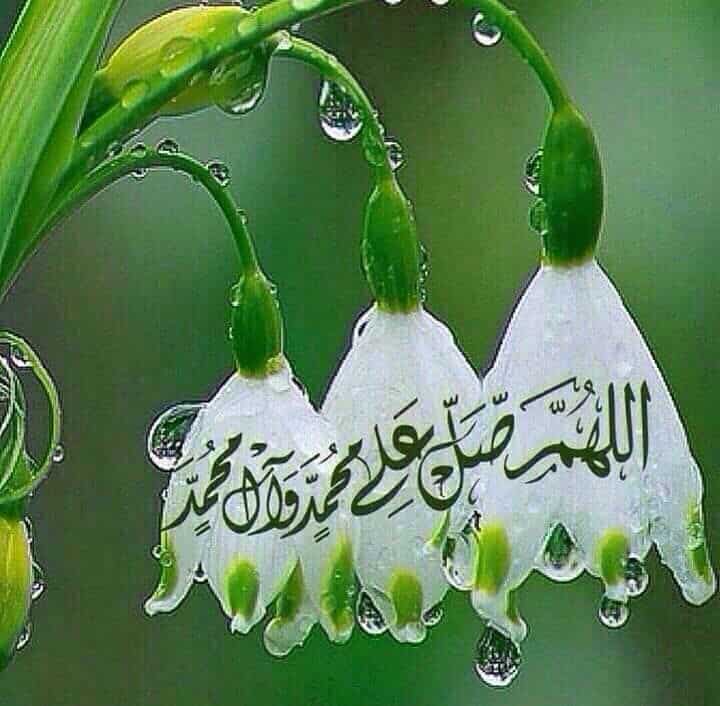 حالات عن الصلاة على النبي 2