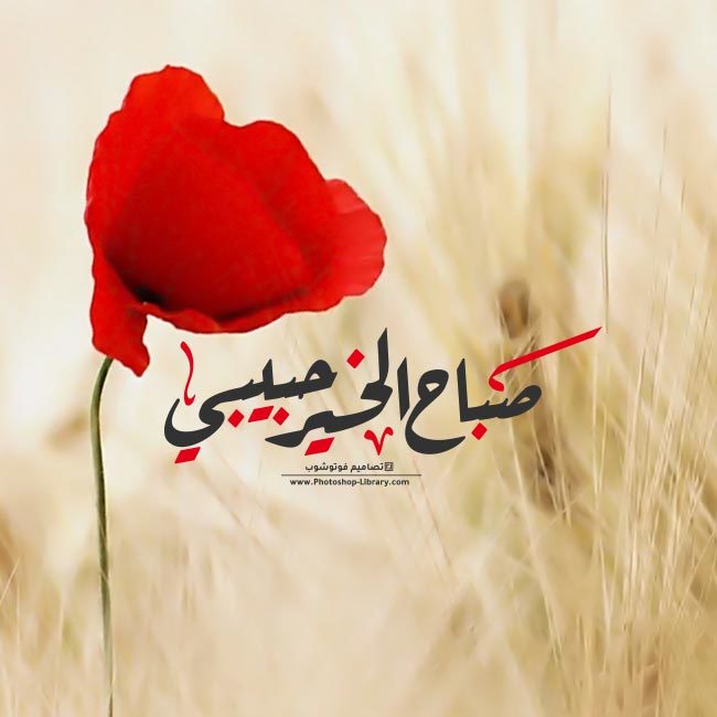 منشورات صباح الخير للحبيب 3