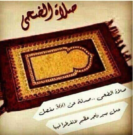 عبارات عن صلاة الضحى _تويتر 3