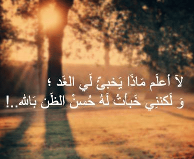 حكم وصور معبرة عن الحياة 3