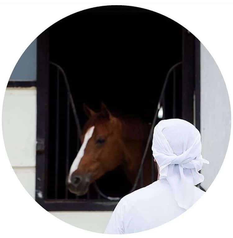 رمزيات خيول وشباب 1