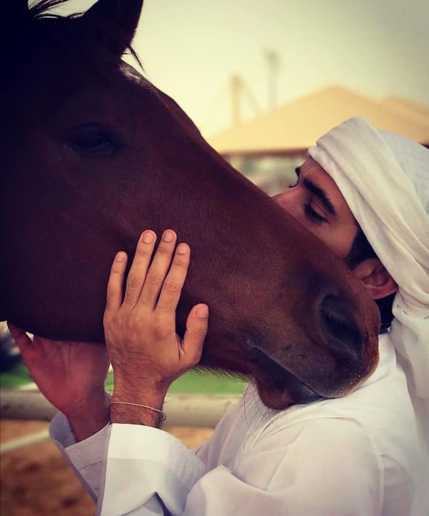 رمزيات خيول وشباب 2