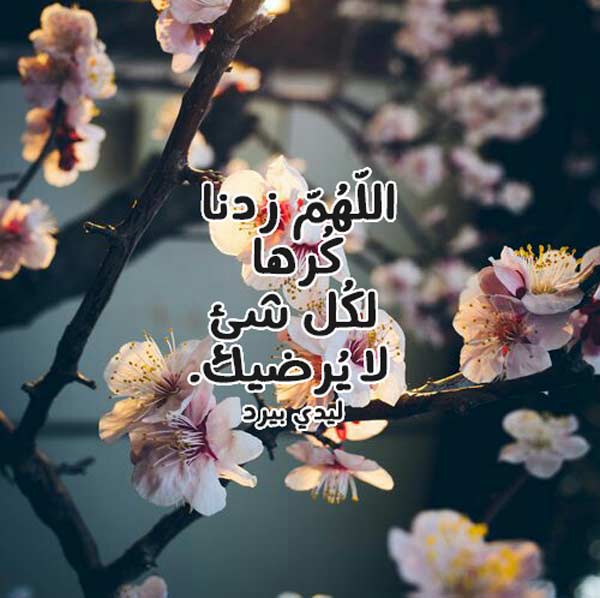 كلام وصور دينية جميلة 2