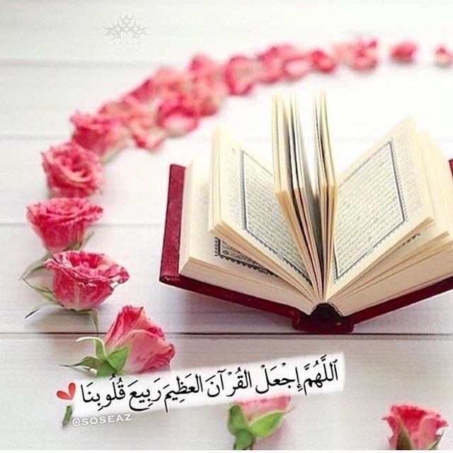 رمزيات ذوق   7