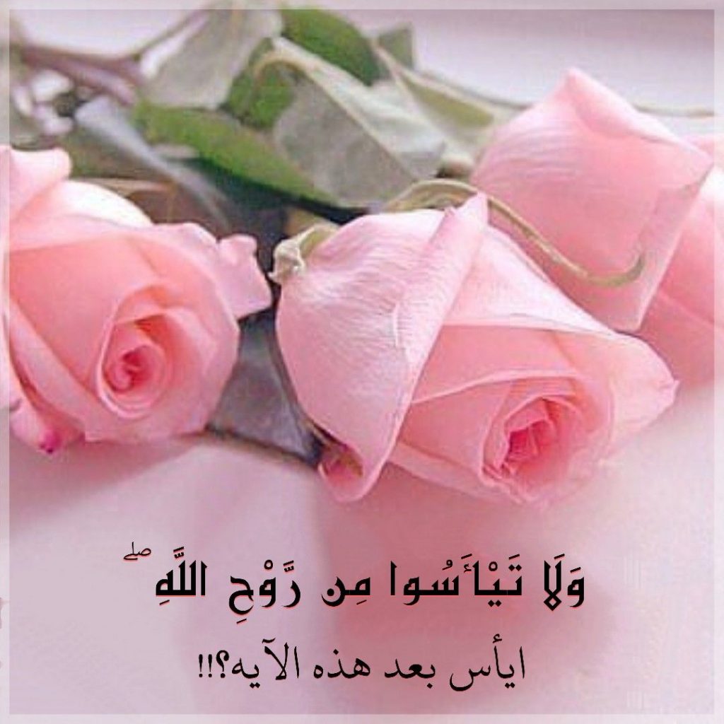 رمزيات ذوق   3