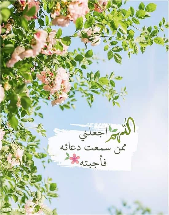رمزيات ذوق   9