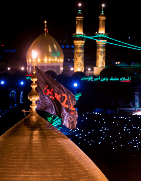 خلفيات مرقد الامام علي 5