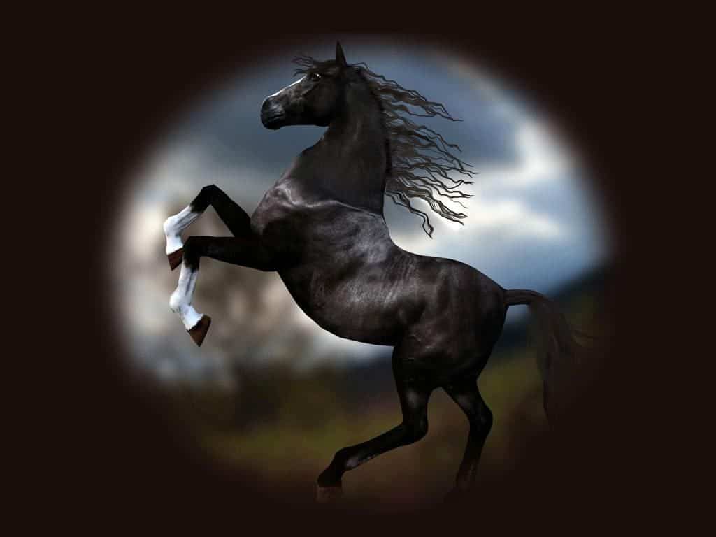 خلفيات خيول فخمة 2