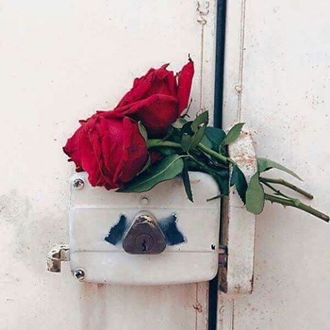 رمزيات ورد 3