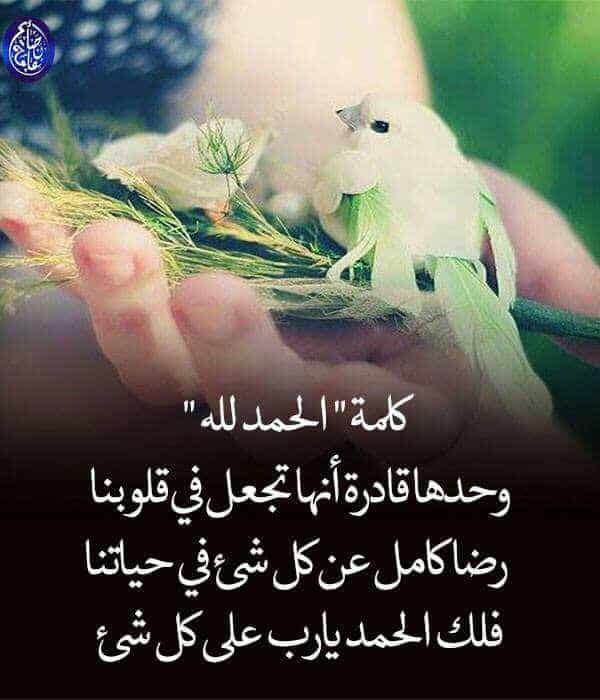 الحمد لله حمداً كثيرا تطيب به الحياة 3