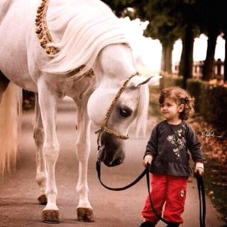 خلفيات خيول وبنات 3