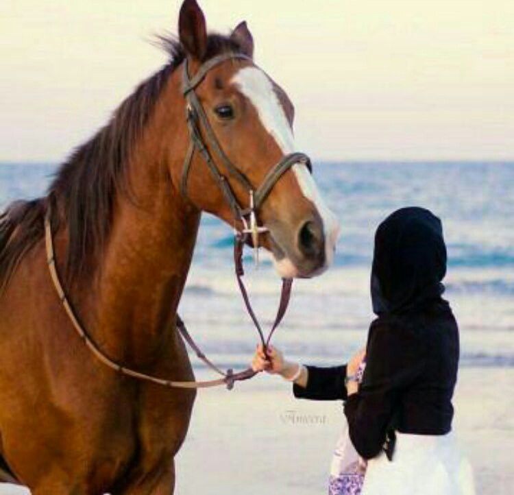 خلفيات خيول مع بنات محجبات 3