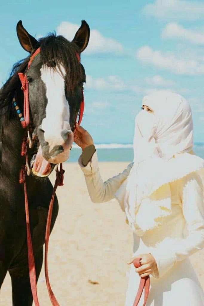 رمزيات خيول وبنات 2