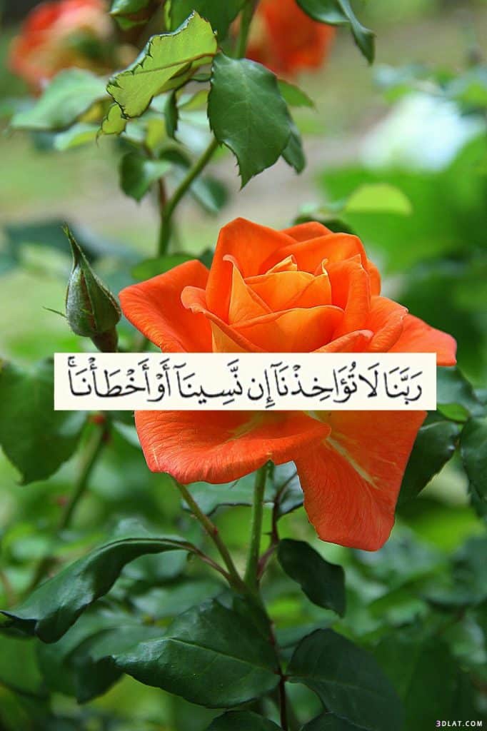 رمزيات اسلامية جديدة 3