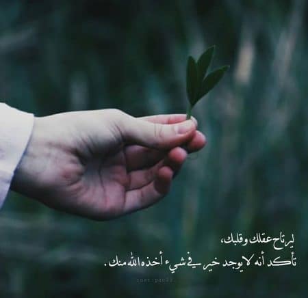 رمزيات انستقرام رآيقـة 4