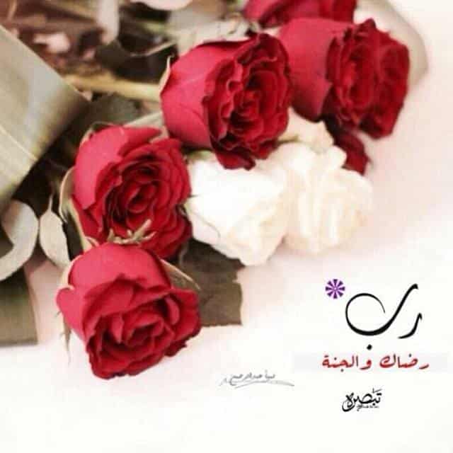 رمزيات انستقرام4