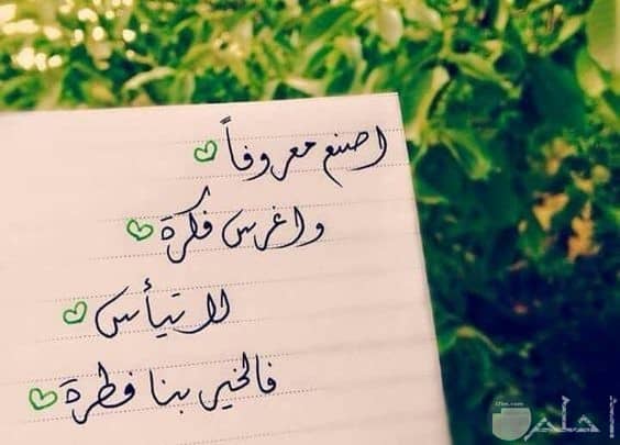 رمزيات جميلة 3