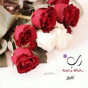 رمزيات جميلة