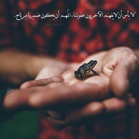 رمزيات انستقرام كشخه1