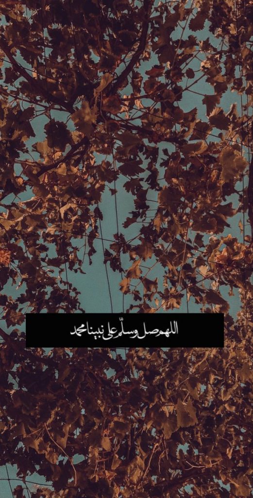 اللهم صل وسلم على نبينا محمد سناب1
