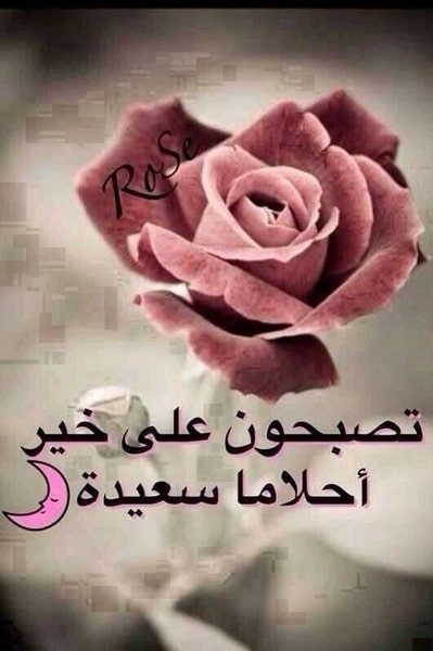 رمزيات مكتوب عليها تصبحون علي خير 2