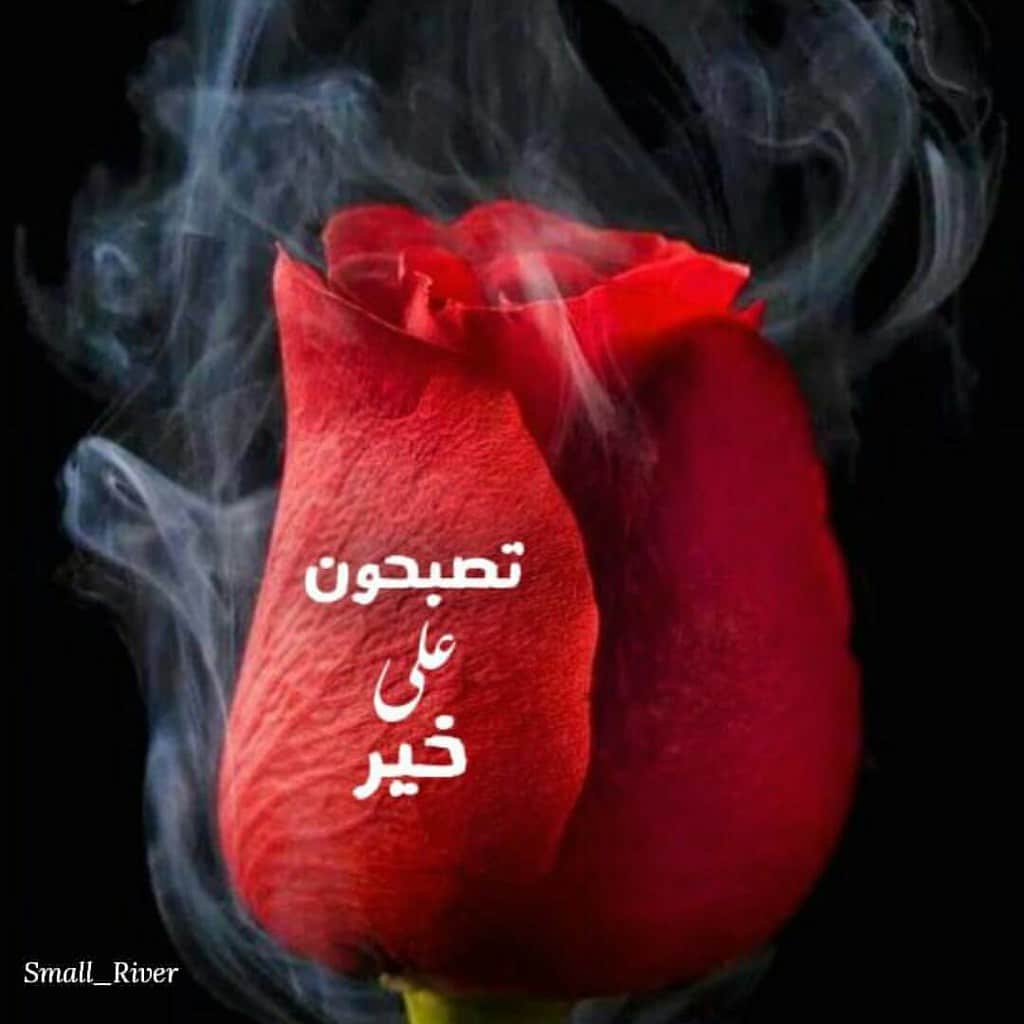 ملصقات تصبحون على خير 3