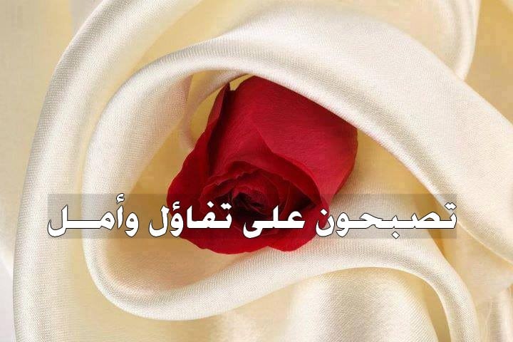 ورد مكتوب عليها تصبح على خير 1