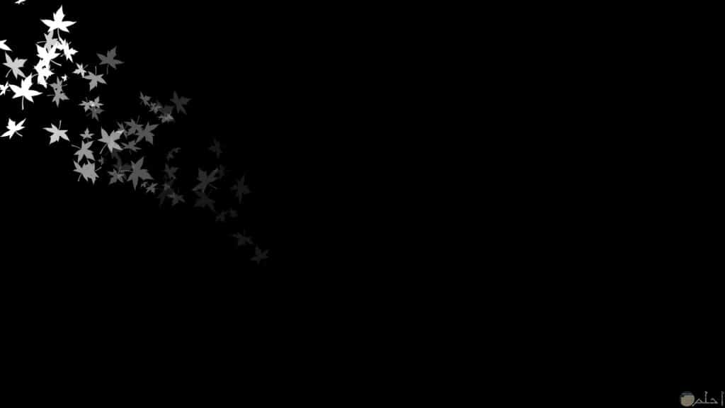 خلفيات سوداء للتصميم 2