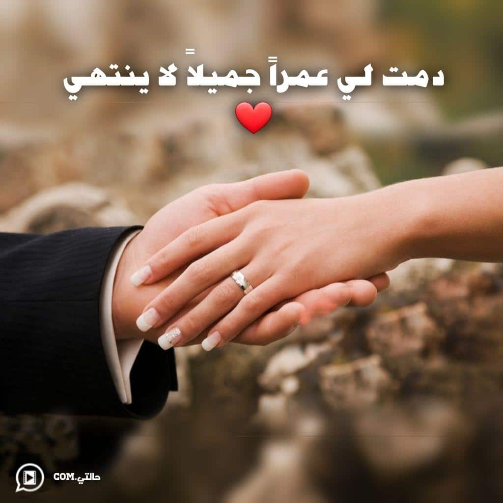 خلفيات زوجي حبيبي 4