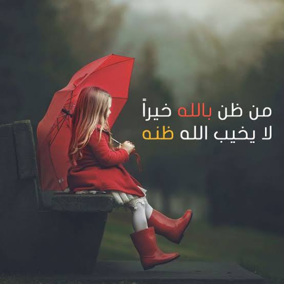 صورجميلة 8