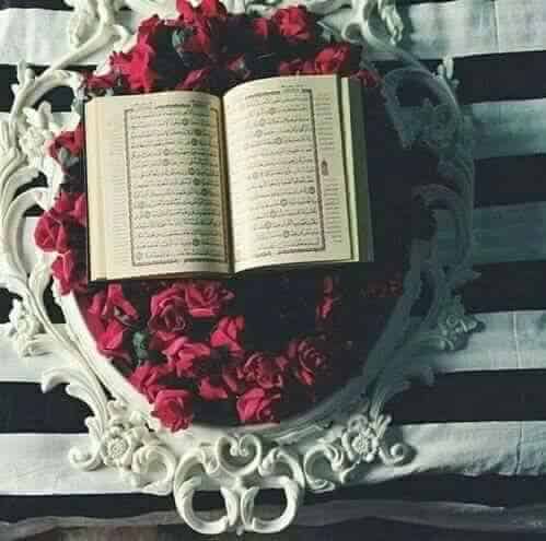 صورجميلة 4