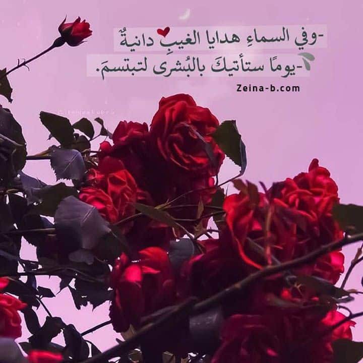 صورجميلة 6