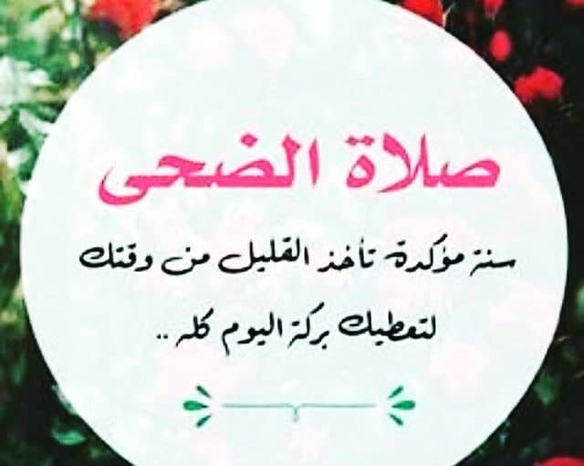 عبارات عن صلاة الضحى _تويتر 4