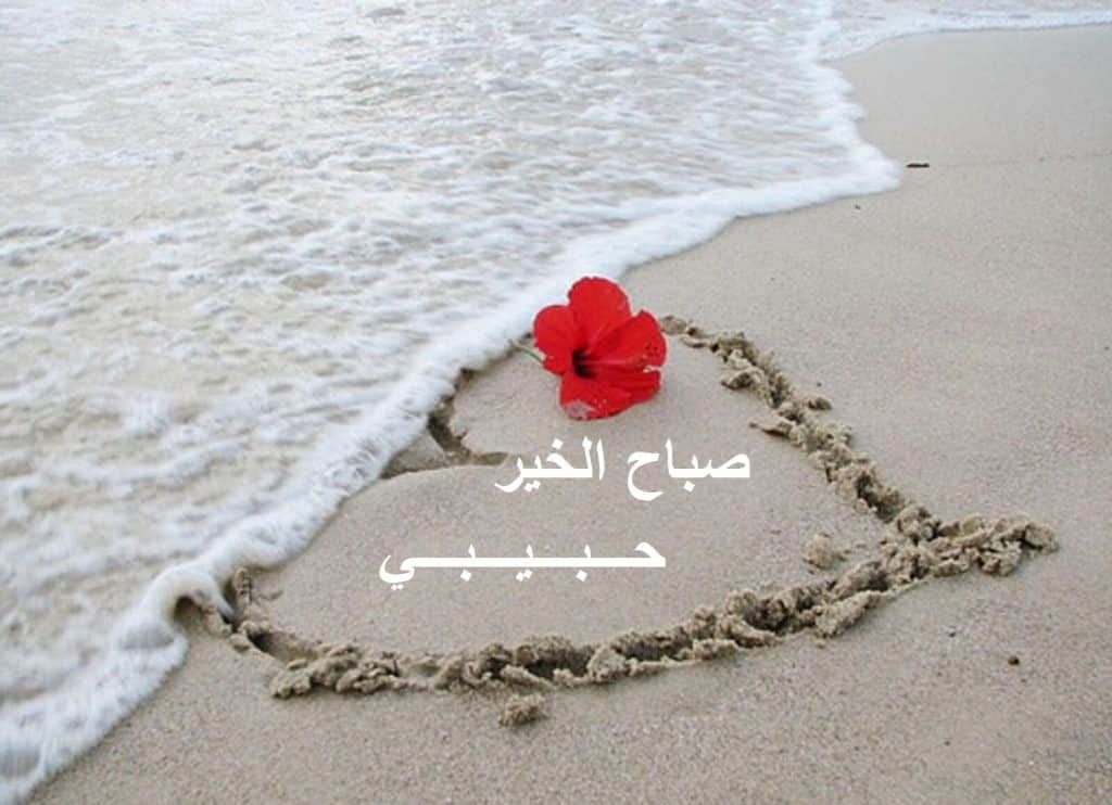 صباح الخير حبيبي رسائل