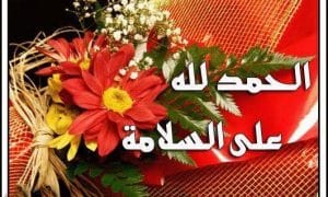 رمزيات الحمد لله على السلامه