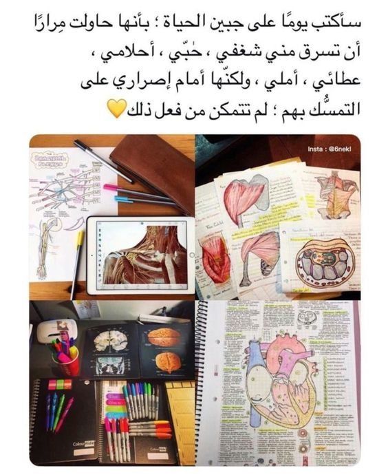 رمزيات دراسة انستقرام 2