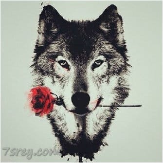 رمزيات ذيب  3