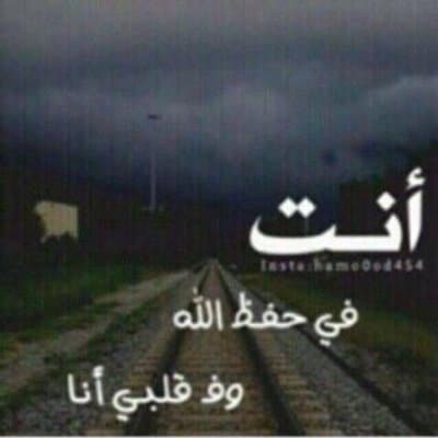خلفيات سفر الزوج  2