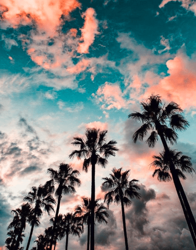 رمزيــات طبيعه 2
