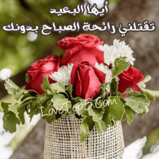 رمزيـات صباحية جديدة 2