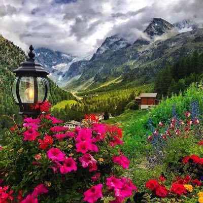 رمزيــات طبيعه  3