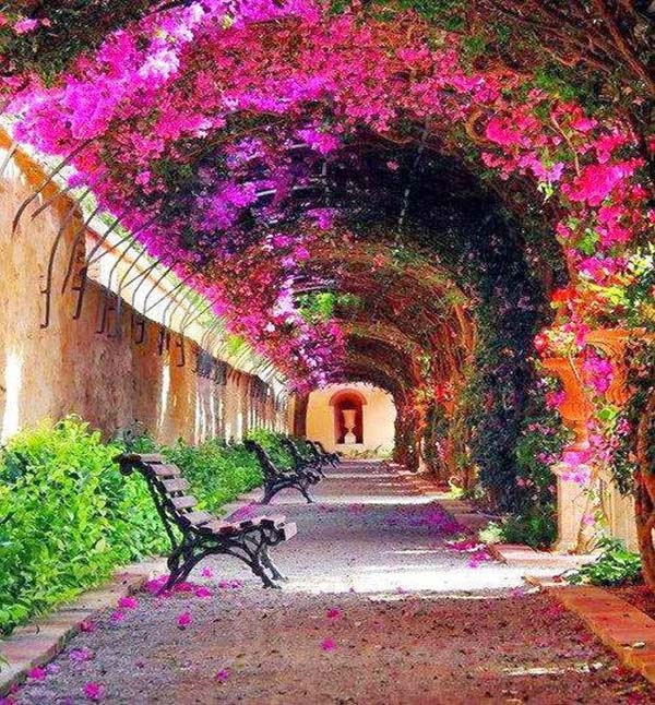 رمزيــات طبيعه 5
