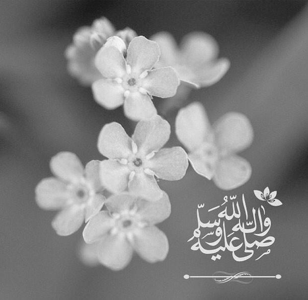 عبارات الصلاة على النبي بالصور تويتر 2