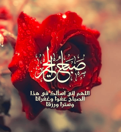 رمزيــات صباح الخير مع دعاء 3