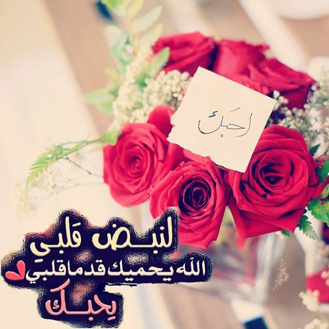صباح الخير للحبيب الغالي 4