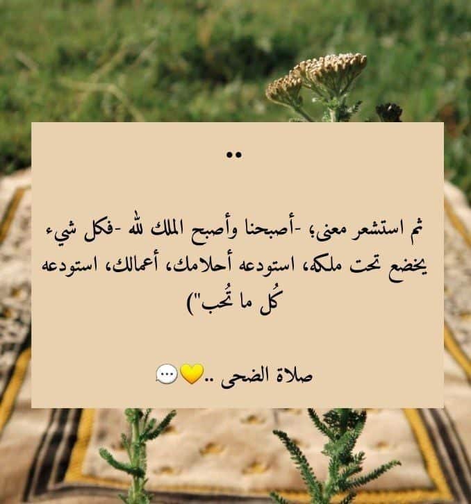 كلام عن فضل صلاة الضحى