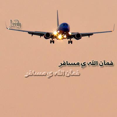 حالات عن سفر زوجي 3