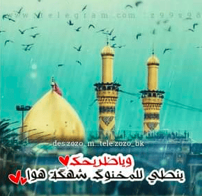 رمزيــات ضريح الامام علي 5